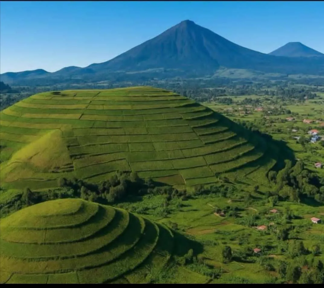 Virunga volcanoes
